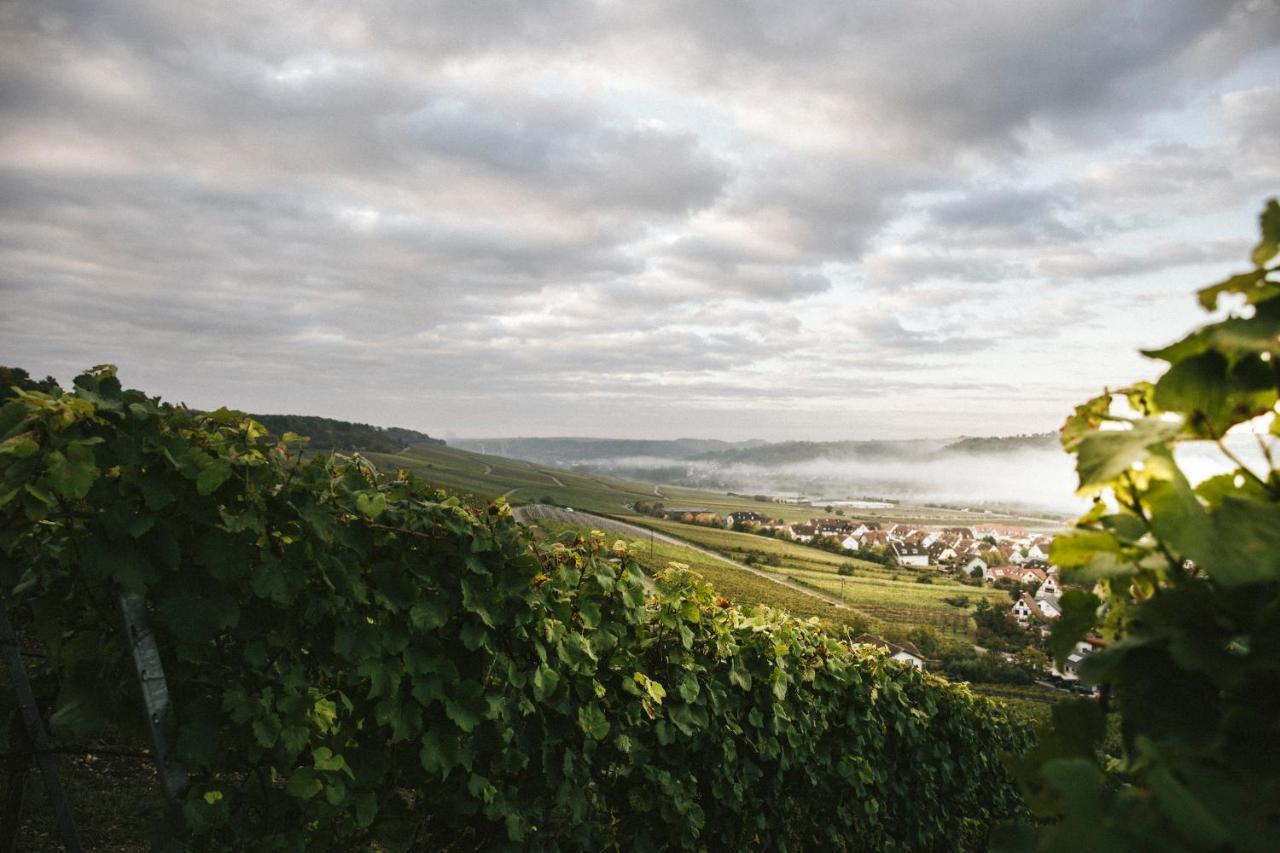 Weingut Pastoriushaus - Artur Steinmann Hotel Sommerhausen Bagian luar foto