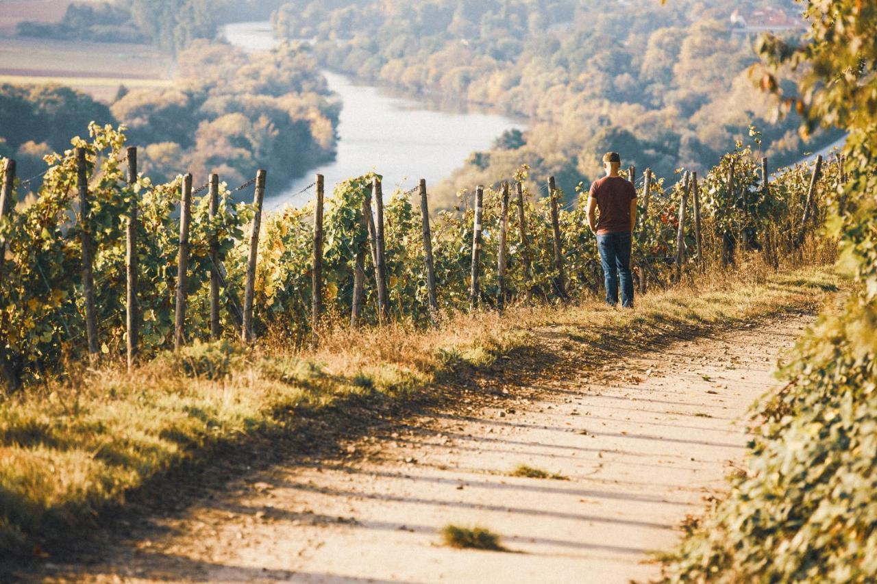 Weingut Pastoriushaus - Artur Steinmann Hotel Sommerhausen Bagian luar foto